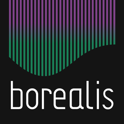 Borealis Consulting